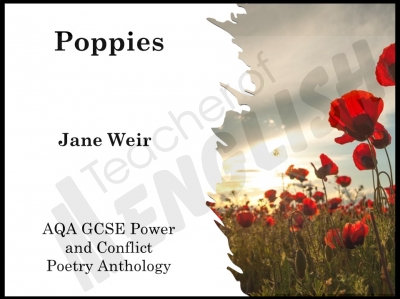 Poppies by Jane Weir Teaching Resources